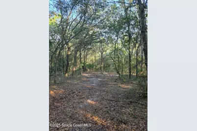 0000 Wood Duck Drive, Mims, FL 32754 - Photo 33