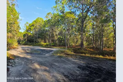 0000 Wood Duck Drive, Mims, FL 32754 - Photo 21