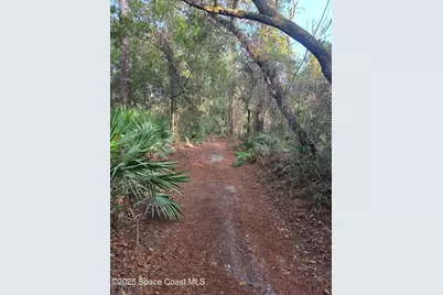 0000 Wood Duck Drive, Mims, FL 32754 - Photo 7