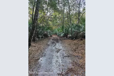 0000 Wood Duck Drive, Mims, FL 32754 - Photo 11