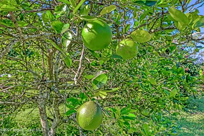 32801 US Hwy 441 N #Lot 28, Okeechobee, FL 34972 - Photo 39