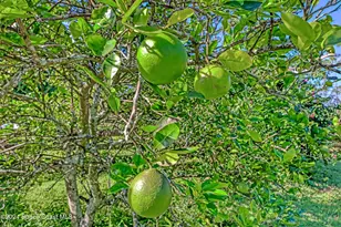 32801 US Hwy 441 N, Okeechobee, FL 34972 - Photo 39