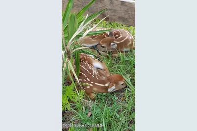 32801 US Hwy 441 N #Lot 28, Okeechobee, FL 34972 - Photo 109