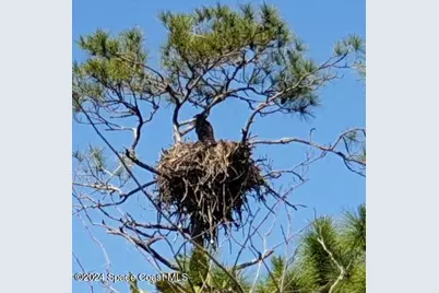 32801 US Hwy 441 N #Lot 28, Okeechobee, FL 34972 - Photo 121