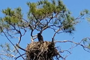 32801 US Hwy 441 N, Okeechobee, FL 34972 - Photo 121