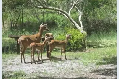 32801 US Hwy 441 N #Lot 28, Okeechobee, FL 34972 - Photo 93