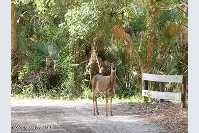 32801 US Hwy 441 N #Lot 28, Okeechobee, FL 34972 - Photo 111