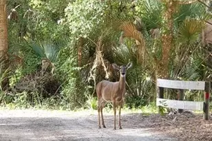 32801 US Hwy 441 N, Okeechobee, FL 34972 - Photo 111