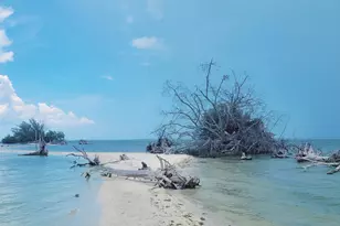 1304 Lichty Street NE, Palm Bay, FL 32905 - Photo 57