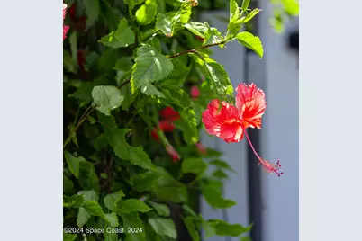 1004 Ocean Park Lane #105, Cape Canaveral, FL 32920 - Photo 19