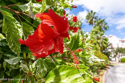 800 Del Rio Way #402, Merritt Island, FL 32953 - Photo 43