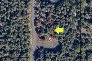 2377 Andros Ave SW, Palm Bay, FL 32908 - Photo 3