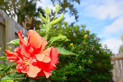 2445 Christine Drive, Titusville, FL 32796 - Photo 21