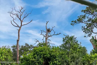 990 Harbor Pines Drive, Merritt Island, FL 32952 - Photo 69