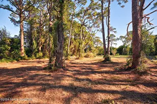 264 Serenity Point Ln, Merritt Island, FL 32952 - Photo 11