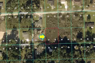 0000 NW 124th St, Citra, FL 32113 - Photo 3