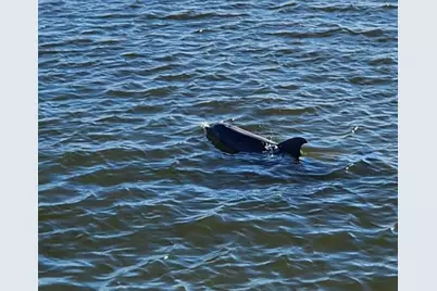 5584 Cord Grass Lane, Melbourne Beach, FL 32951 - Photo 39