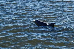 5584 Cord Grass Ln, Melbourne Beach, FL 32951 - Photo 39