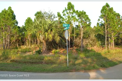 1615 Tigard Street SE, Palm Bay, FL 32909 - Photo 1