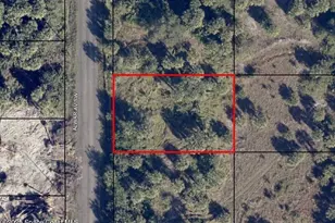 2135 Alwar Ave SW, Palm Bay, FL 32908 - Photo 1