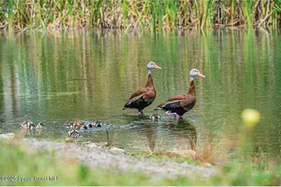 25 Pine Arbor Lane #104, Vero Beach, FL 32962 - Photo 25