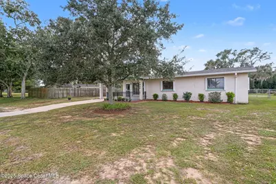 4520 Jenny Lind Drive, Mims, FL 32754 - Photo 3