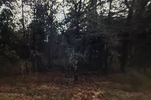 3588 E Bellshire Pl, Inverness, FL 34452 - Photo 1