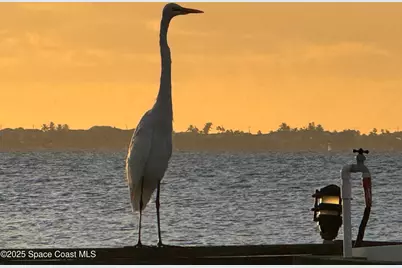 5011 Dixie Highway Highway NE #A312, Palm Bay, FL 32905 - Photo 71