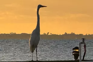 5011 Dixie Hwy Hwy NE, Palm Bay, FL 32905 - Photo 71