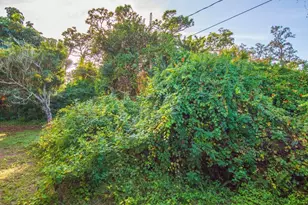 3170 Kent Dr, Melbourne, FL 32935 - Photo 25