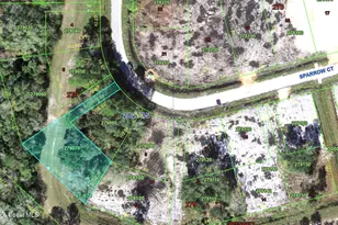 00-00 Sparrow Ct, Poinciana, FL 34759 - Photo 1