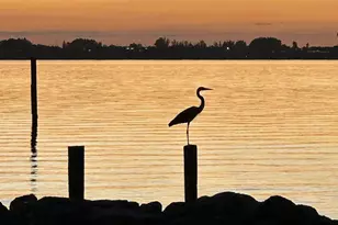 254 Seaview St, Melbourne Beach, FL 32951 - Photo 51