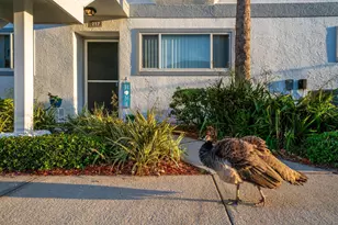 217 Ocean Park Ln Ln, Cape Canaveral, FL 32920 - Photo 3