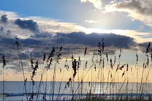 411 Adams Ave, Cape Canaveral, FL 32920 - Photo 37