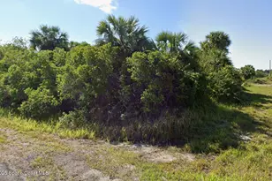 798 Novak St SW, Palm Bay, FL 32908 - Photo 1