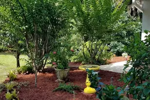 581 Drexel Ave NE, Palm Bay, FL 32907 - Photo 57