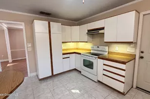 301 Nesbitt Street NE, Palm Bay, FL 32907 - Photo 19