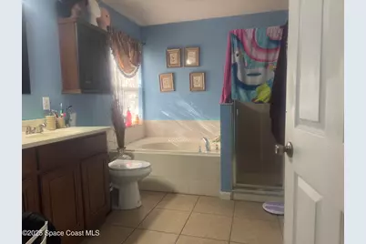 561 Borraclough Avenue NW, Grant-Valkaria, FL 32949 - Photo 9