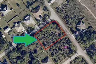890 Double Lot On Reardon Street SE, Palm Bay, FL 32909 - Photo 5