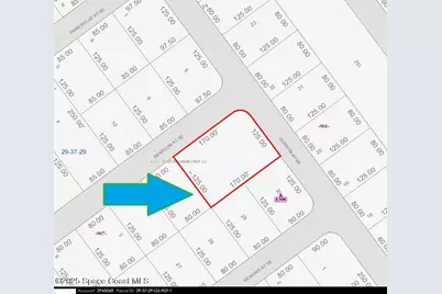 890 Double Lot On Reardon Street SE, Palm Bay, FL 32909 - Photo 3