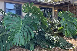 2555 State St, Melbourne, FL 32904 - Photo 59