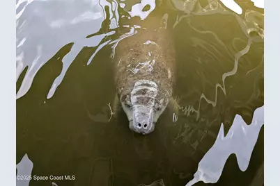 456 Carmine Drive, Cocoa Beach, FL 32931 - Photo 11