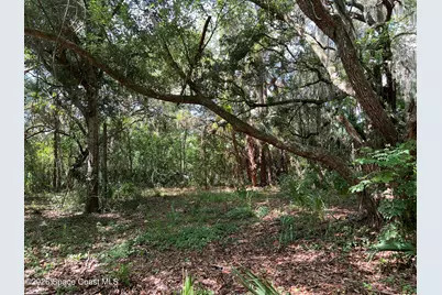 0 Unknown Boulevard, Cocoa, FL 32927 - Photo 3