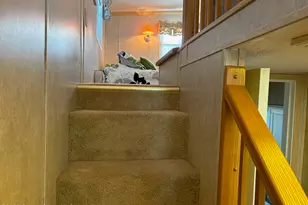 347 Pier Ln, Melbourne Beach, FL 32951 - Photo 21