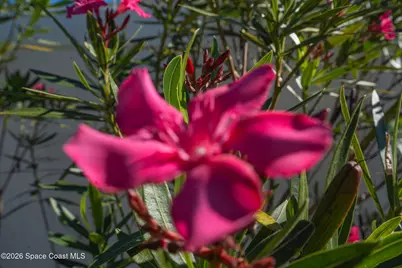 1673 Colorado Street SE, Palm Bay, FL 32909 - Photo 7