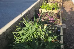 3826 Town Square Blvd, Melbourne, FL 32901 - Photo 25