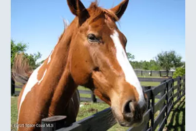 324 Pinto Lane, Palm Bay, FL 32909 - Photo 19