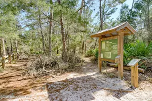 767 Badger Dr NE, Palm Bay, FL 32905 - Photo 37