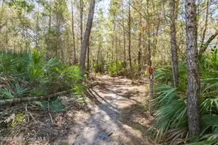 767 Badger Dr NE, Palm Bay, FL 32905 - Photo 59