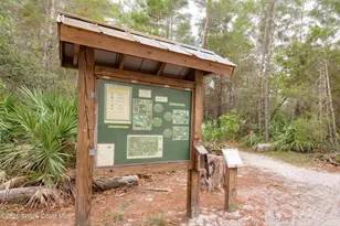 767 Badger Dr NE, Palm Bay, FL 32905 - Photo 47